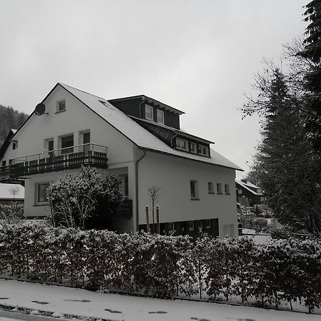 Ferienwohnung Haus Kloosterman Winterberg Eksteriør bilde