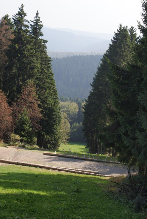 Ferienwohnung Haus Kloosterman Winterberg Eksteriør bilde