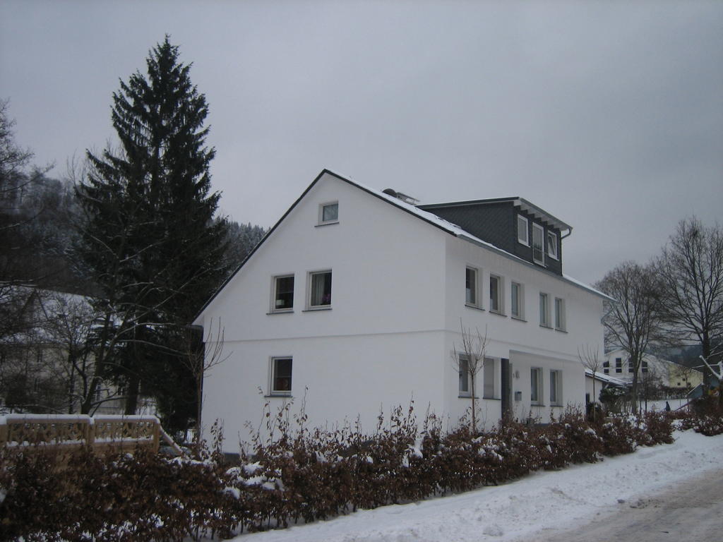 Ferienwohnung Haus Kloosterman Winterberg Eksteriør bilde